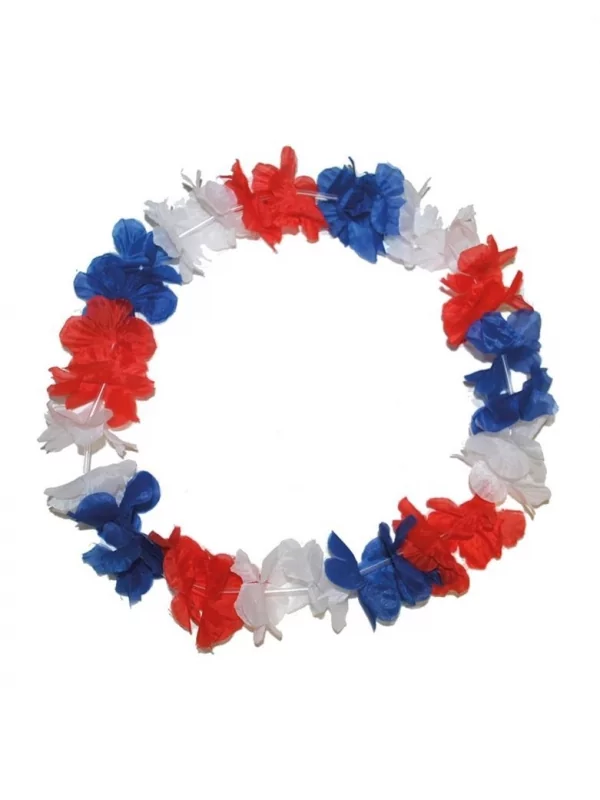 Couronne De Fleurs Bleu, Blanc, Rouge - France
