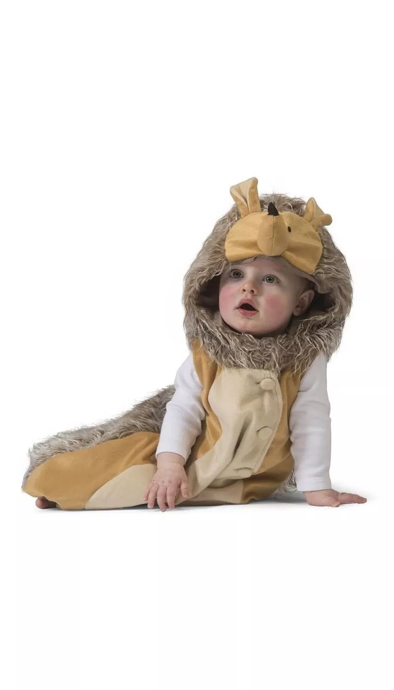Déguisement De Petit Hérisson Pour Bébé – Image 2